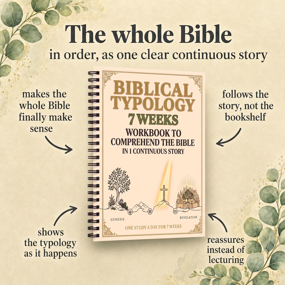 Biblical Typology 7 Weeks Workbook to Comprehend the Bible in 1 Continuous Story