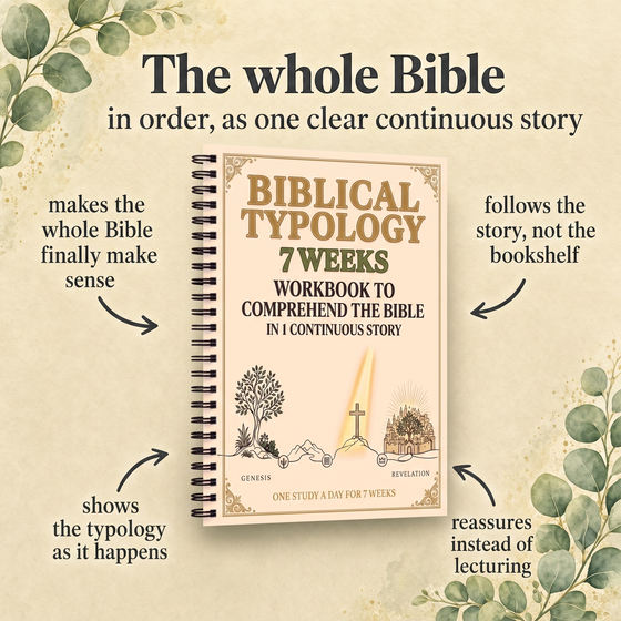 Biblical Typology 7 Weeks Workbook to Comprehend the Bible in 1 Continuous Story