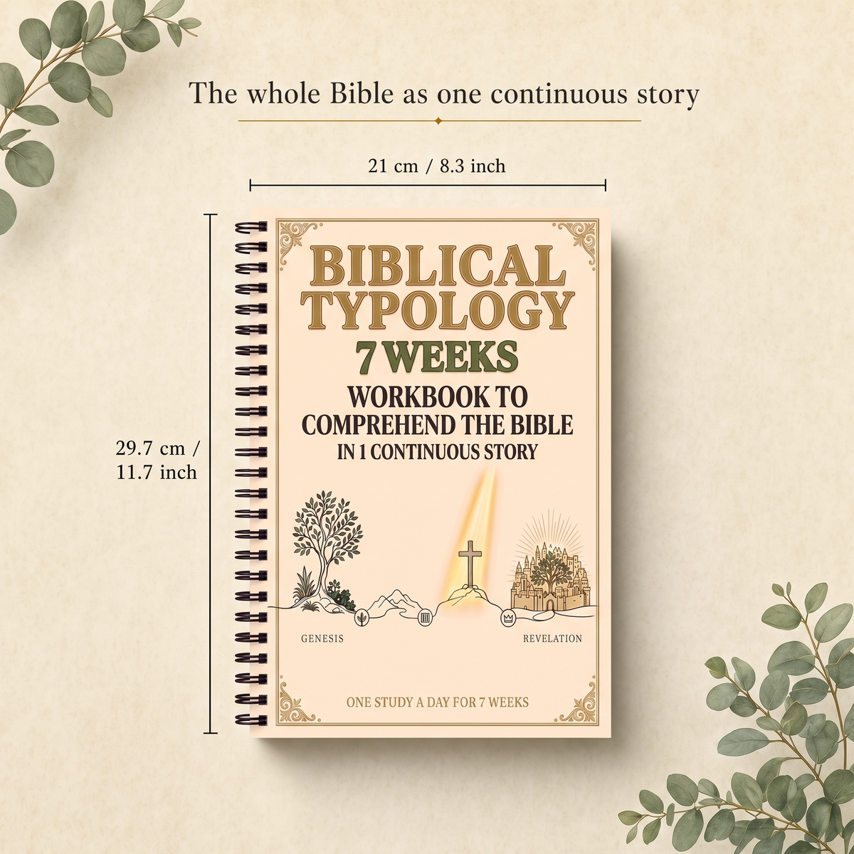 Biblical Typology 7 Weeks Workbook to Comprehend the Bible in 1 Continuous Story