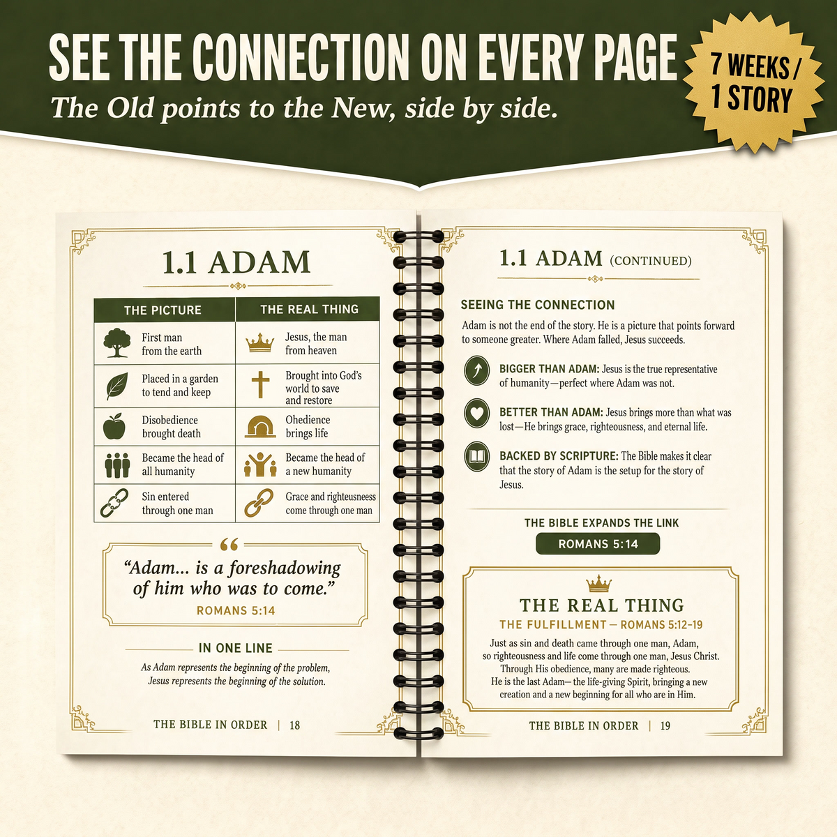 Biblical Typology 7 Weeks Workbook to Comprehend the Bible in 1 Continuous Story