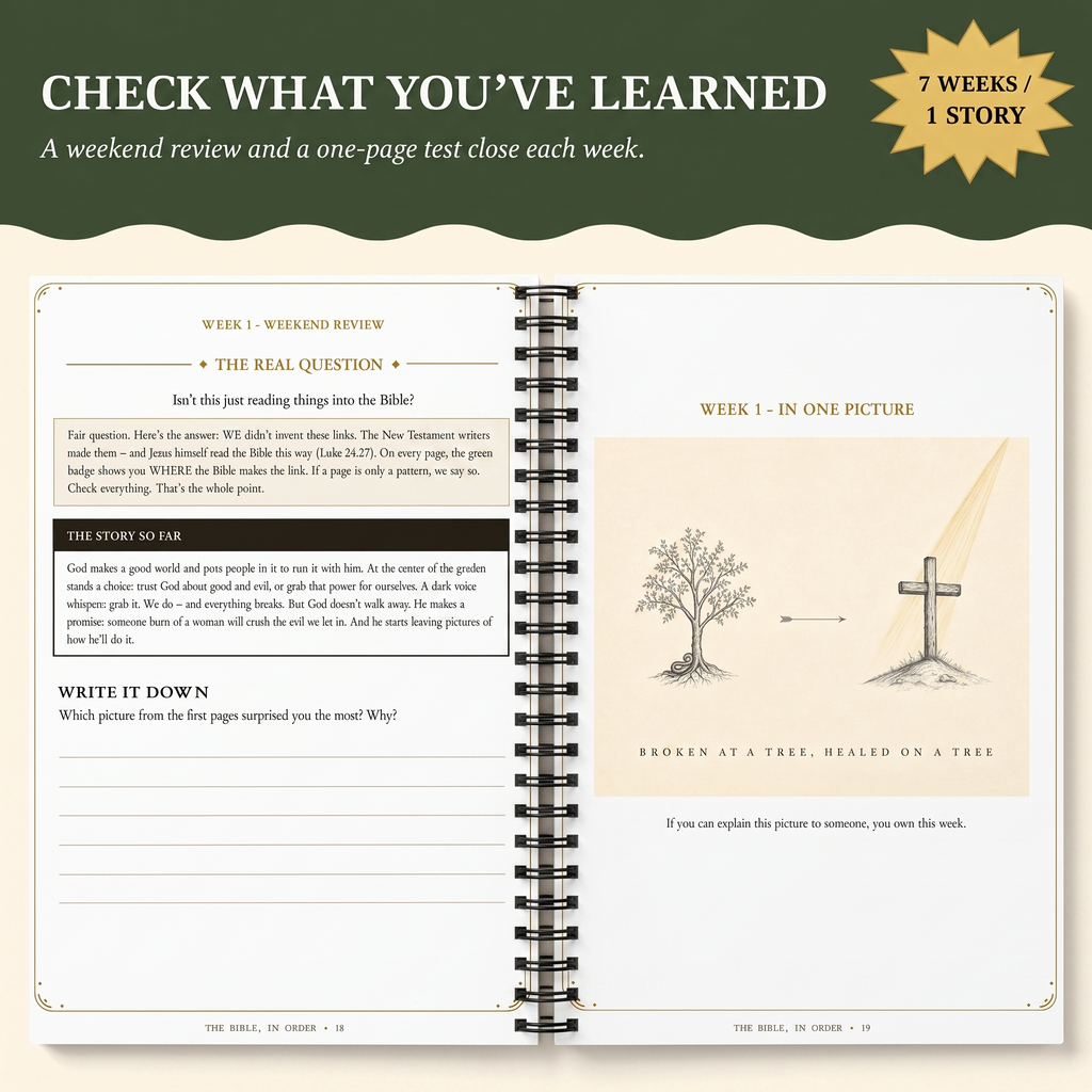 Biblical Typology 7 Weeks Workbook to Comprehend the Bible in 1 Continuous Story